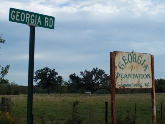 Georgia Plantation (Landing) Sign